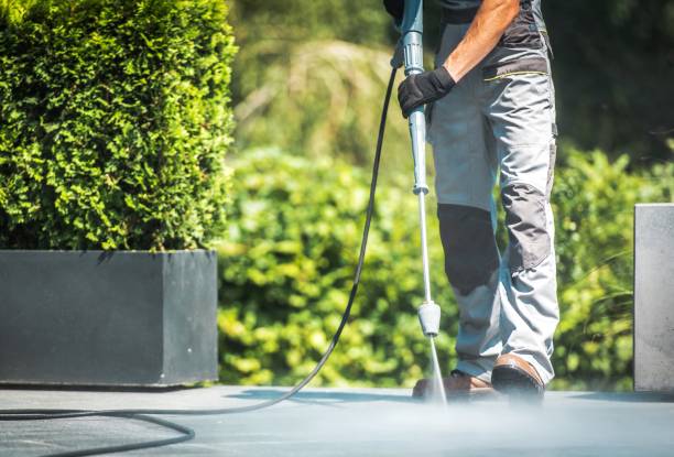 Best Patio and Deck Pressure Washing  in Dryden, MI