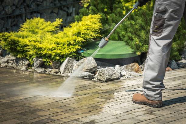 Best Heavy Equipment Washing  in Dryden, MI