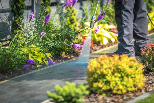 Best Boat and Dock Cleaning  in Dryden, MI