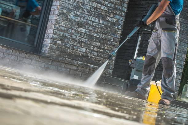 Professional Pressure Washing in Dryden, MI