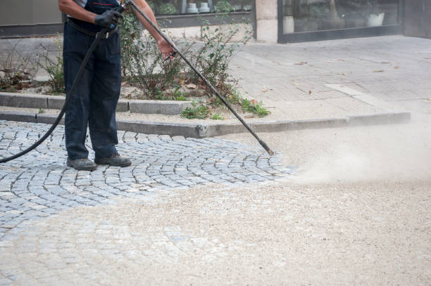 Best Dumpster Area Cleaning  in Dryden, MI