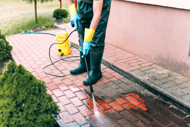 Best Factory Floor Cleaning  in Dryden, MI