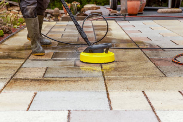 Best Gutter Cleaning  in Dryden, MI