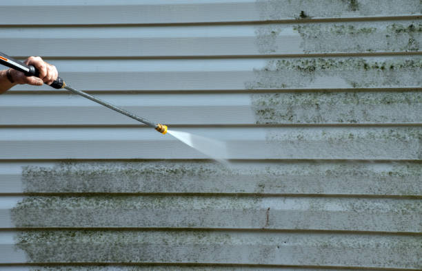Best Fence Cleaning  in Dryden, MI