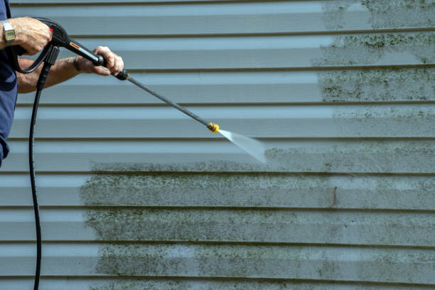 Best Rust Removal  in Dryden, MI