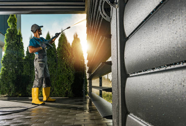 Best House Exterior Washing  in Dryden, MI